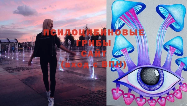 2c-b Заводоуковск