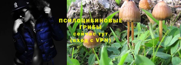 2c-b Заводоуковск